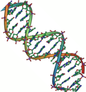 Depiction of DNA molecule