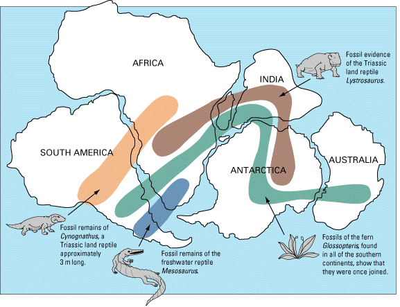Geographic ranges of fossils