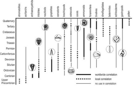 Fossil Range Chart